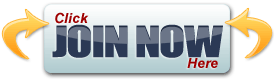  Live Chat Feature