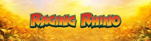 Raging Rhino Slot